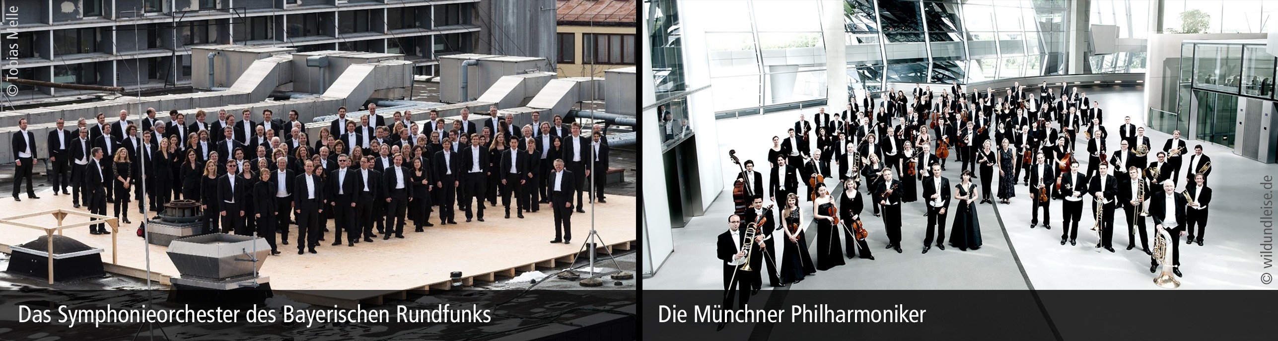 Symphonieorchester d. Bayerischen Rundfunks/Münchner Philharmoniker ©Tobias Melle/wildundleise.de